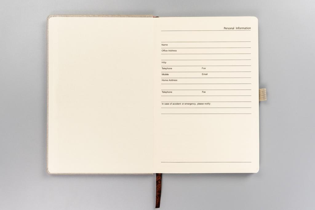 Notebook PTN NOT-6-6287 Beige