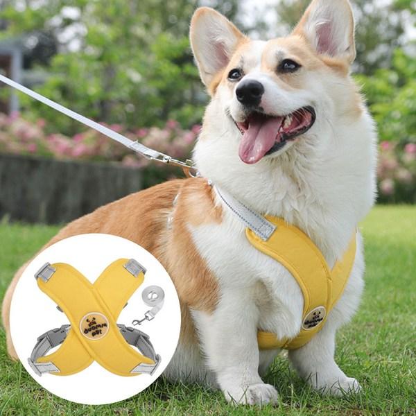 Daily Public X-shaped Double Locking Dog Harness Vest with Leash, Green