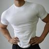 Men's Seamless Quick-Dry Compression Sports T-Shirt: Short Sleeve, Summer Fitness & Running Wear