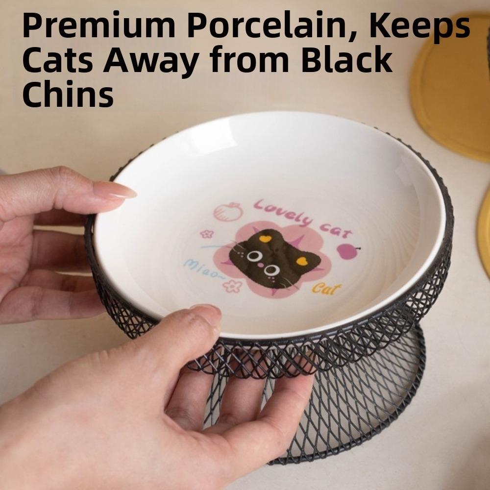 Non-Slip Elevated Pet Bowl No Spill with Stand Dog Water Bowl Large Capacity Cat Feeding Station Wet And Dry Food