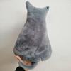 Cat Stuffed Pillow Super Soft Animal Design Plush Solid Color Doll Pillow for Living Room