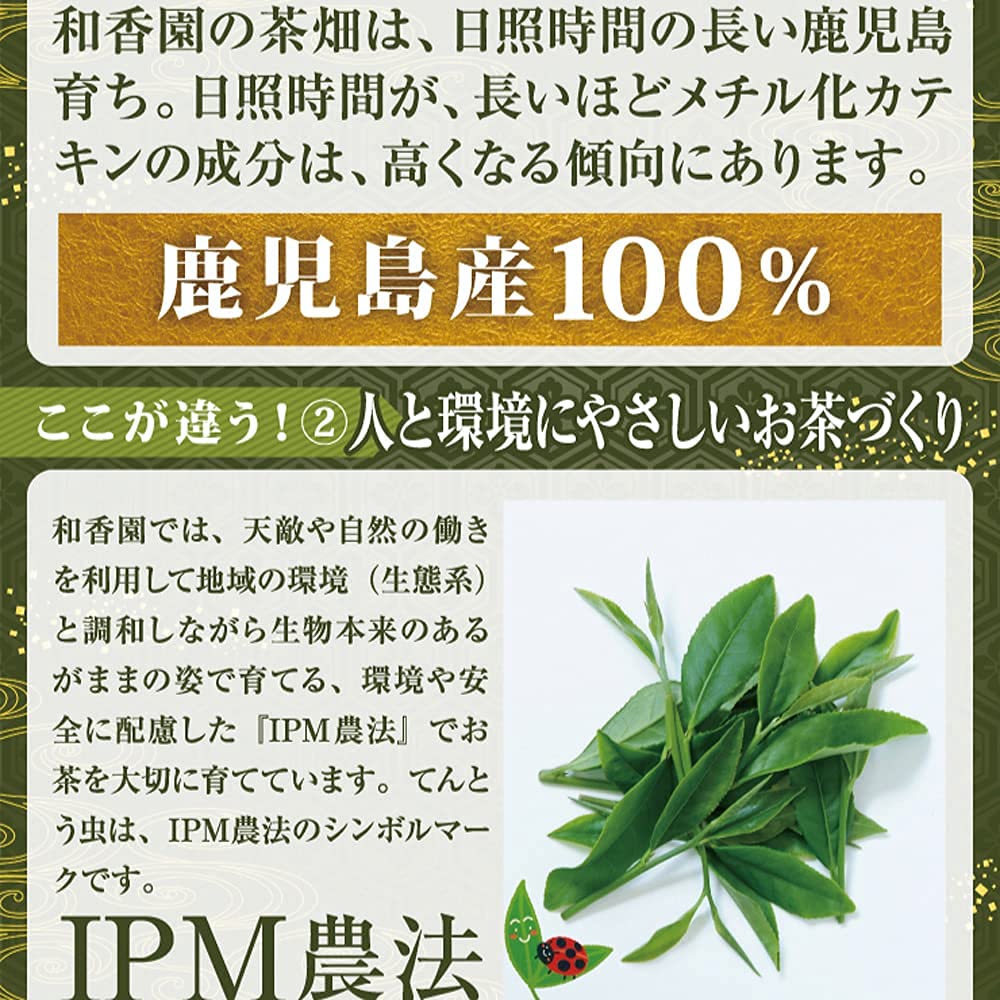 Wakaen Benifuuki 80g Authentic Kagoshima Product Not for Sale Comes with Pack Steamed Kagoshima Tea Benifuki Japanese Tea Health Tea Green Tea Leaf