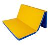 Gymnastic Mat Gamma 150x100x5 Three-part - Blue/yellow