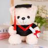 Graduation Bear Plush Toy, Doctor Bear Stuffed Animal in Gown, College Graduate Gift, Christmas Present, Soft Cuddly 12 Inches
