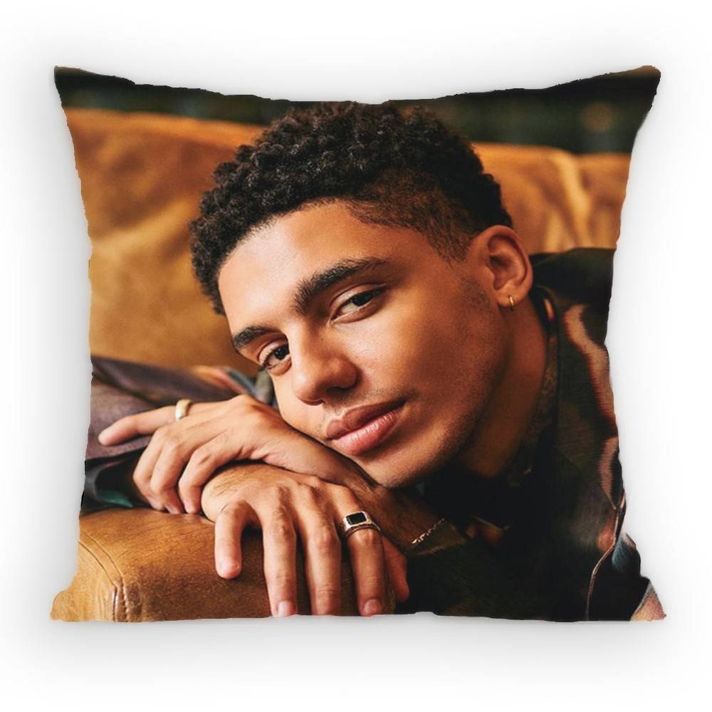 Джей Ликурго Актер Наволочка от пылевых клещей Наволочка на подушку Невидимая молния шелковистый короткий плюш Чехол на подушку для дивана