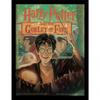 The Goblet Of Fire Framed Poster