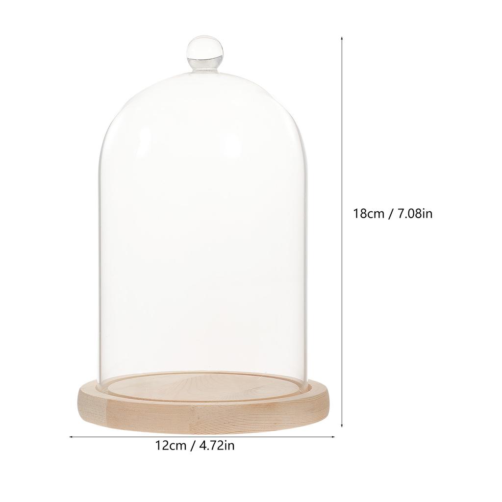 Декор для столешницы Сухоцветы Стеклянная крышка Ваза Прозрачные украшения Деревянные консервированные