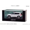 RAI'S Масштаб 1/43 Nissan X-Trail S e-4ORCE (Т33) 2022 Автомобиль мобильного следственного отдела Департамента уголовного розыска Полицейского управления (Серебряный) 