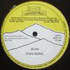 12-дюймовая пластинка TONY REBEL - Hush BMD107 Blue Mountain R 1991 Великобритания Регги, Ска и Даб Б/У