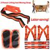Carrying Straps Moving 2-Person Lifting and Carrying Labor-saving Shoulder Moving Straps Safe Furniture Moving Equipment