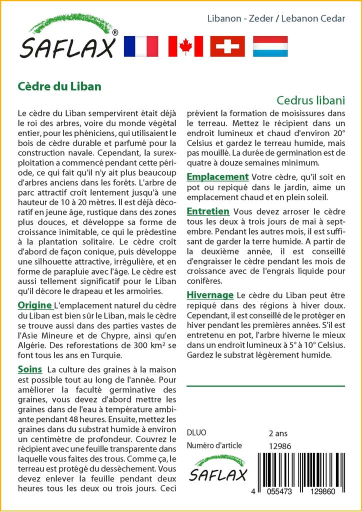 SAFLAX Ливанский кедр - 20 семян - Cedrus libani
