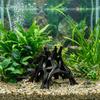 Plastic Fish Shrimp Hiding Cave Tree Trunk Driftwood Landscape  Fish Tank Landscaping