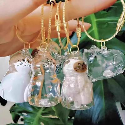 Прозрачная коробка для хранения кошачьей шерсти, капсула-сувенир для шерсти питомца для DIY поделок, памятный подарок для любителей питомцев, домашний декор, ручная работа