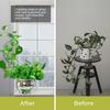 Chain Trellis Climbing Plants Pentagonal Ring Plant Vine Support Kit Stainless Steel Garden Wall Decor for Vines Pothos