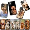 Phone Cover Animal Pet Golden Retriever Dog for Xiaomi Poco F7 F6 F8 Ultra F5 X7 X6 X5 X3 NFC M7 M6 Pro C85 C75 C65 C71 C61 Case