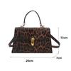 Винтажные сумки через плечо с леопардовым принтом Маленькие crossbody сумки из ПУ кожи для женщин Фирменные сумки