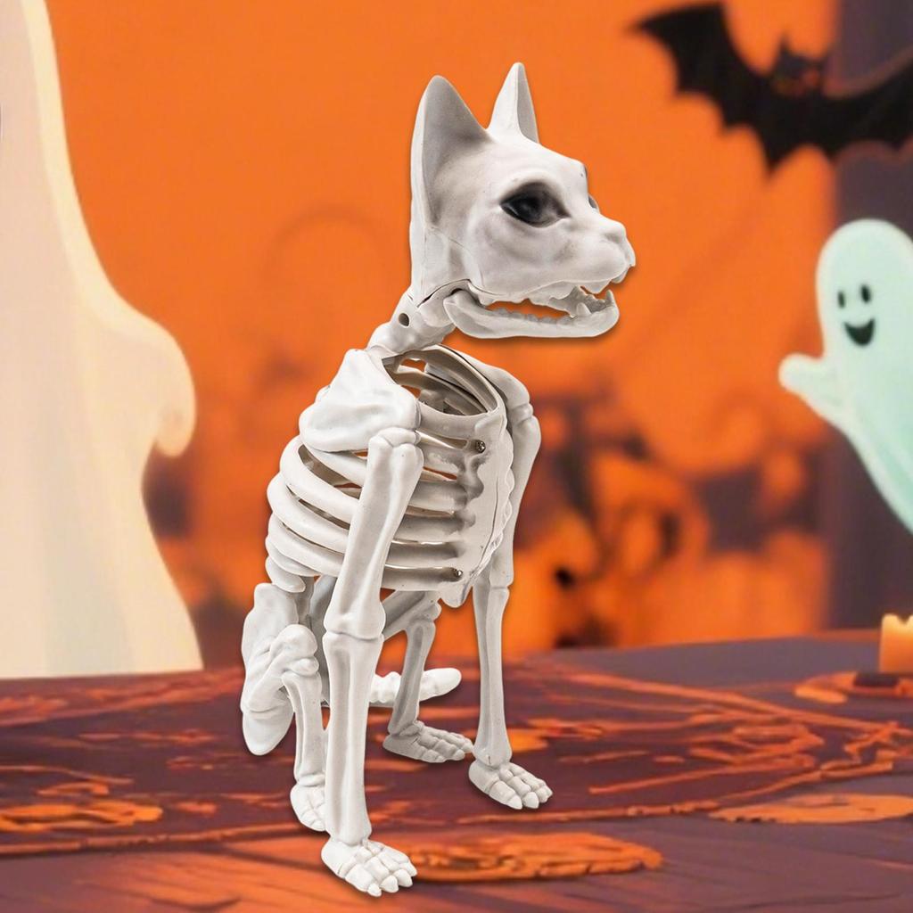 Sitting Cat Skeleton Halloween Decoration 15x24x34cm Multipurpose for Courtyard Decor Sturdy White