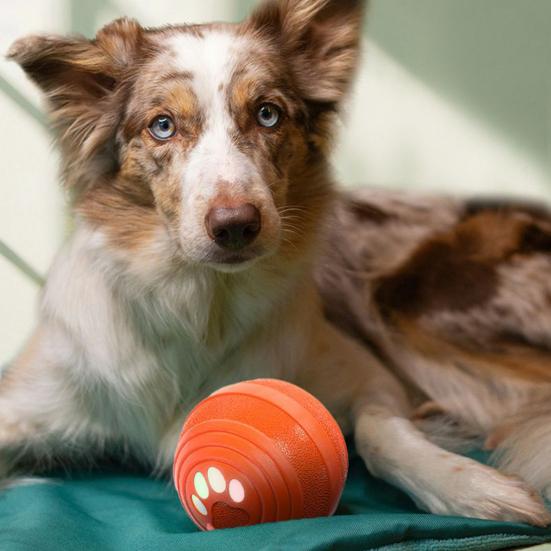 Интерактивный мяч для собаки, умная игрушка с 4 режимами, для маленьких и средних собак, автоматическое катание, прыжки, водонепроницаемая, перезаряжаемая игрушка для собаки