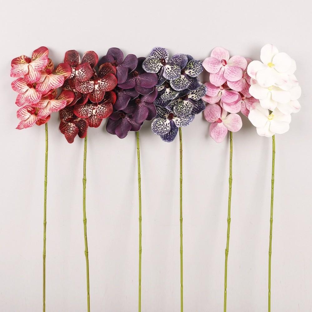 Real Touch Artificial Vanda Orchid Flower Handmade Faux Phalaenopsis  Wedding Party Favors