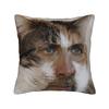 Pillow Case Funny N-Nicolas C-Cage Picolas Soft  Pillow Cover For Sofa Bedroom Home Decor Kawaii Pillowcases