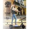 Europe Warehouse 9 Inch Foldable Electric Scooter Wholesale China Folding 36V 7.8Ah Electric Scooter for Adult