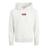 Jack & Jones Hoodie Pan Plus Size