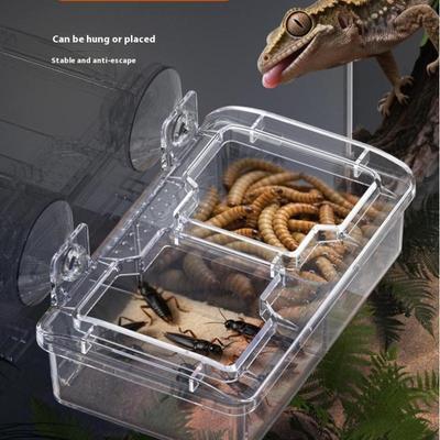Прозрачная кормушка для рептилий, миска для еды с защитой от побега, контейнер для живых червей, мини-миски для рептилий на присосках, товары для питомцев