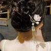 Zinc Zinc Alloy Lantern Hairpin Flower LED Light Hair Fork Exquisite Lotus Tassel Hair Stick  Cheongsam