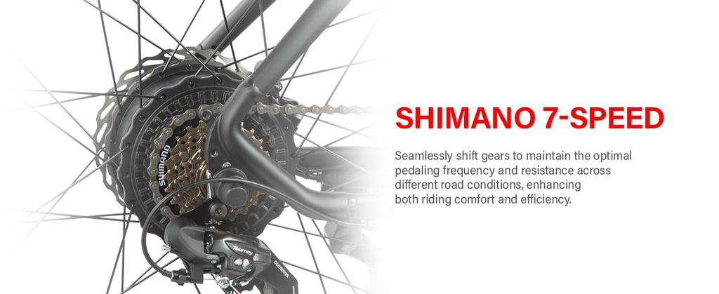 DYU KING 750 Electric Bike – 110km Range, 750W Motor, 26x4.0 Fat Tires – All-Terrain Aluminum E-Bike