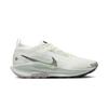 Nike Pegasus Trail 5 GORE-TEX Light Silver Sequoia Men Sneakers Grey Summit-White College-Grey FQ0908-102