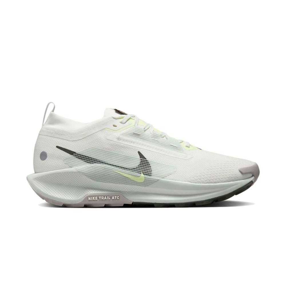 Nike Pegasus Trail 5 GORE-TEX Light Silver Sequoia Men Sneakers Grey Summit-White College-Grey FQ0908-102