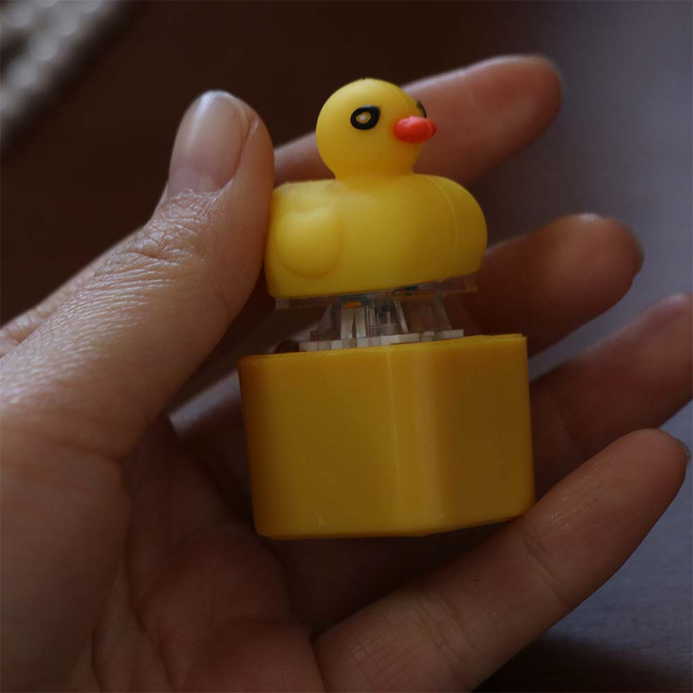 With LED Light Frog Croaking Fidget Toy Plastic Keyboard Sound Keyring Children Adult