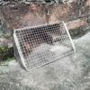 Grid Design Rat-proof Drainage Net Filter Debris Leaf-proofing Side Wall Floor Drain Stainless Steel Drain Quickly