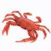 Educational Toy Scenes Making Sea Animal Figurine Red Crab Model Simulation Crabs Kids Cognition