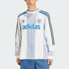 adidas Свитшот Originals Adicolor Blokecore с логотипом KQ5085