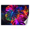 Wallpaper Monstera Fluorescent Leaves