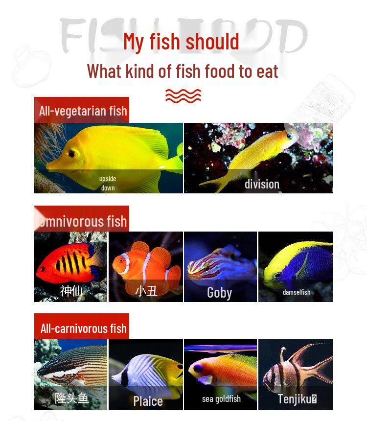 US Ocean Saltwater Fish Food: Brine Shrimp & Spirulina Flakes & Pellets
