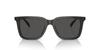 Sunglasses HC8385U CL910 TRANSPARENT DARK GRAY 54 [Coach]