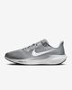 FD2722-009 Nike Pegasus 41 Cool Grey Wolf Grey Pure Platinum White (Men's)