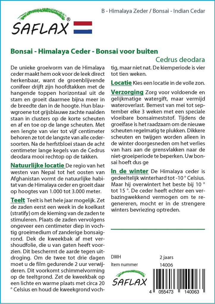 SAFLAX Garden in the Bag - Бонсай - Индийский кедр - 35 семян - С субстратом в подходящем мешке - Cedrus deodara