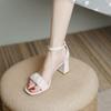 This Year's New Sandals Summer Women's 2025 Fashion Versatile Gentle Fairy Style with Skirt Thick Heel High Heels