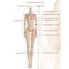 Solid Doll Jointed Nude BJD Dolls 1/6 Doll Figure Body Super Model Doll  Girl Toy Accessories