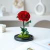 Immortal flower, the little prince's rose, real flower dried flower, high-end finished product, give boyfriend's birthday and Valentine's Day gift.
