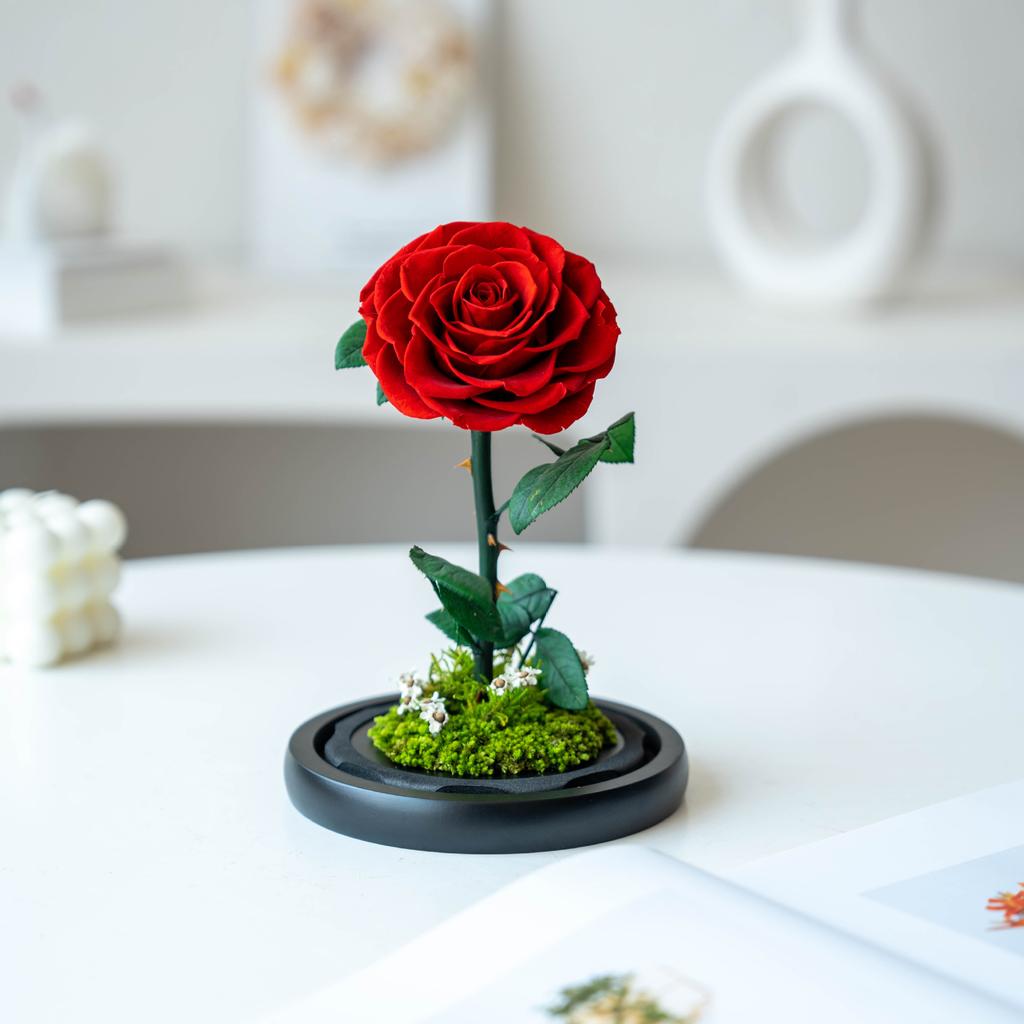 Immortal flower, the little prince's rose, real flower dried flower, high-end finished product, give boyfriend's birthday and Valentine's Day gift.
