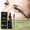 3x 10ML Eyelash Eyebrow Growth Serum Thick Eelash Nutrition Liquid Nourishing Follicles Hairline Extension Intensive Lengthening Lashes Enhancer