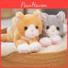 Doll Cat Plush Orange Cat Cloth Doll Cute Little Cat Healing Gift Children