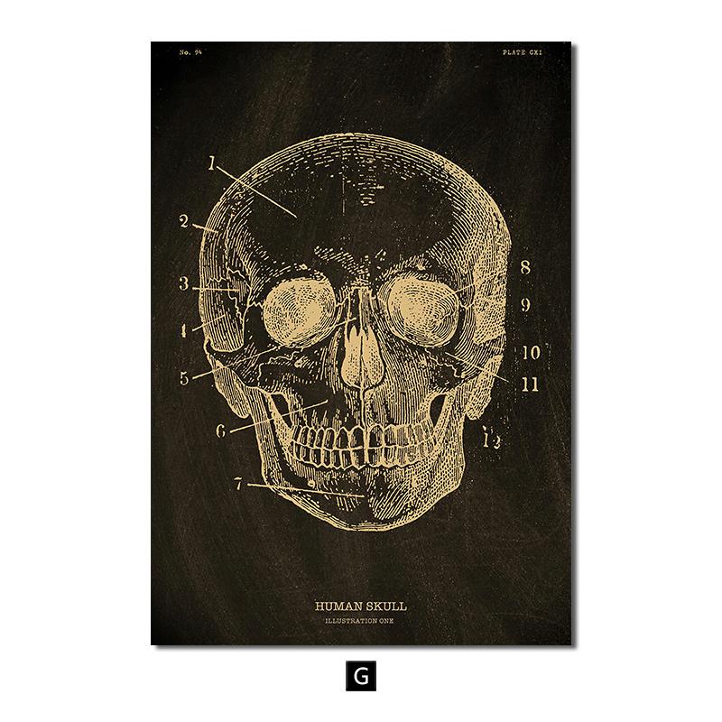 Анатомия человека, винтажный постер, скандинавский холст, художественный принт, золотой скелет, органы, живопись, настенные панно, медицинский домашний декор