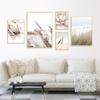 Nordic Style Plant Reed Canvas Paintings Landscape Flower Wall Art Decoration Posters for Living Room Home Cottagecore Decor
