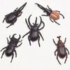 Beetle Insect Toy Beetle Figures Special Lifelike Model Simulation Beetle Beetle Toys Insect Model