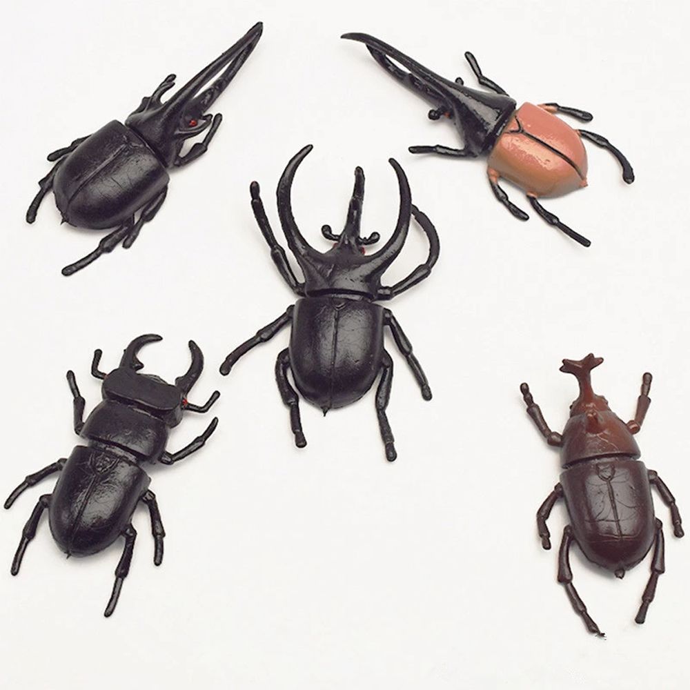 Beetle Insect Toy Beetle Figures Special Lifelike Model Simulation Beetle Beetle Toys Insect Model